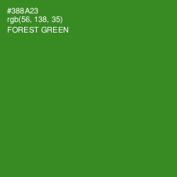 #388A23 - Forest Green Color Image